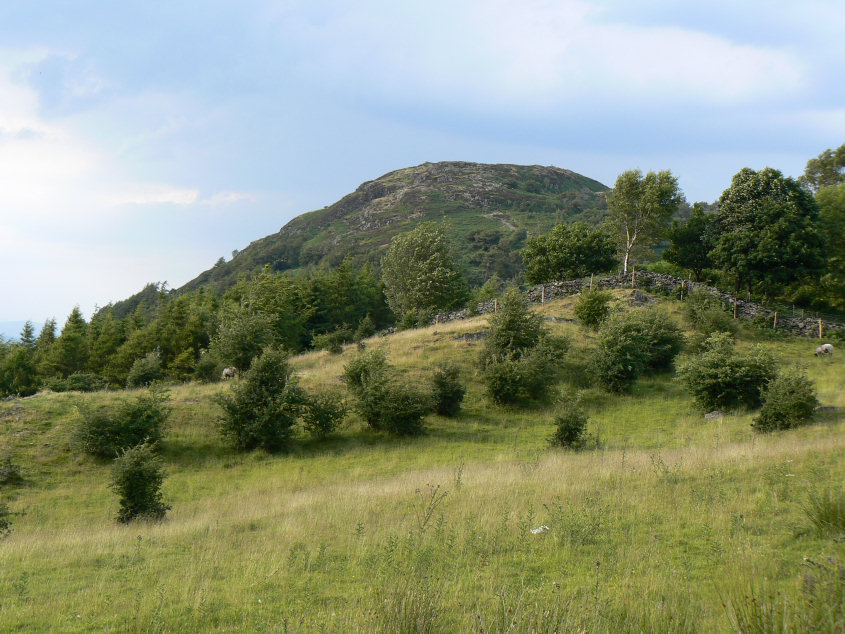 Gummer's How Gummer's How